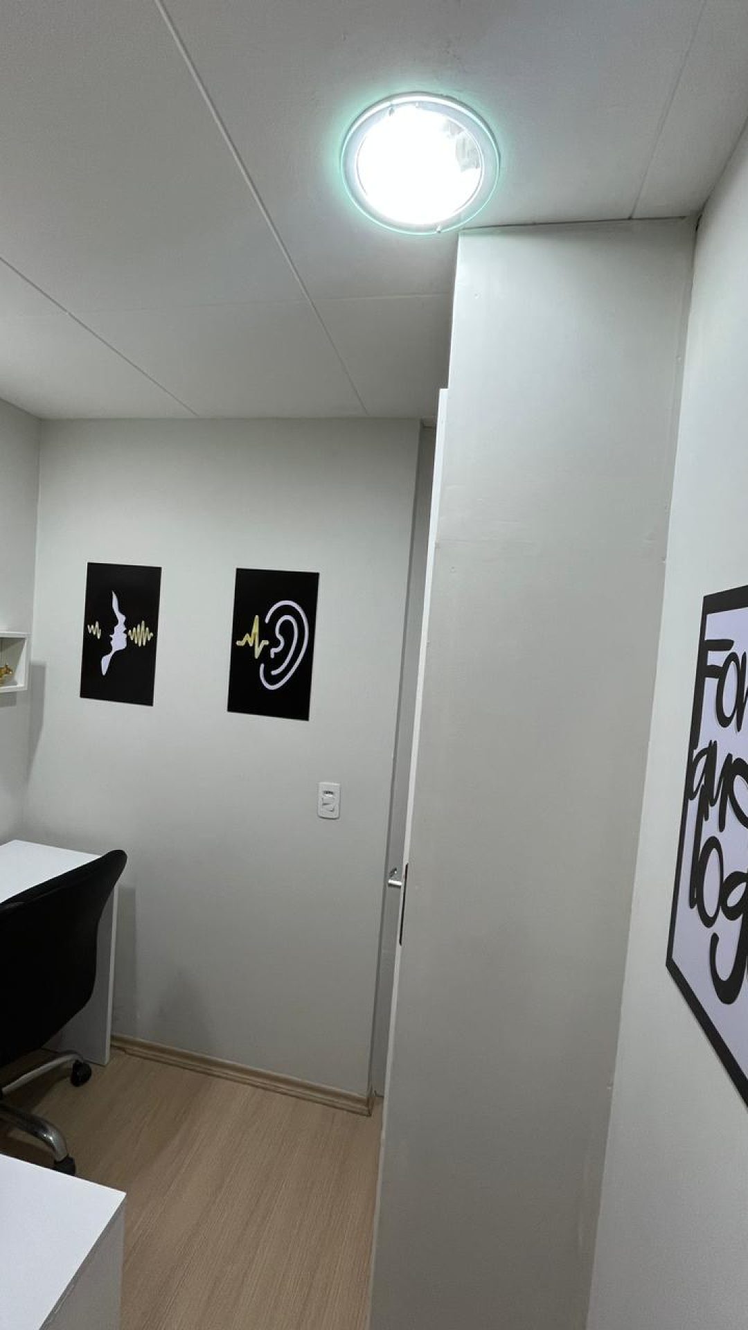 fonoaudiologia